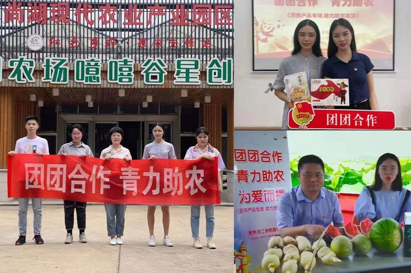 图2 青力助农 修.jpg